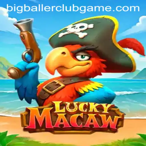 Discover the Exciting World of LuckyMacaw and the Thrill of the BIG BALLER CLUB