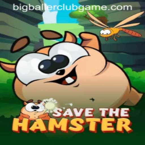 Discover the Exciting World of SavetheHamster and Uncover the BIG BALLER CLUB